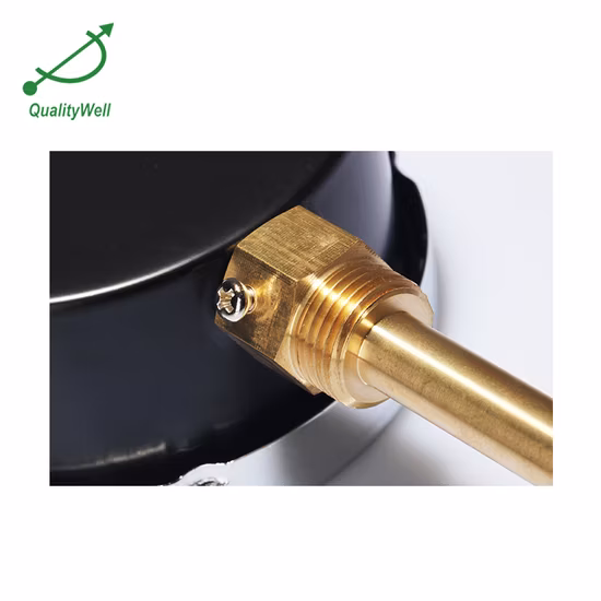 Bottom Type Black Steel Case Bi